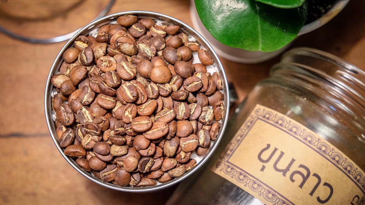 Coffee bean