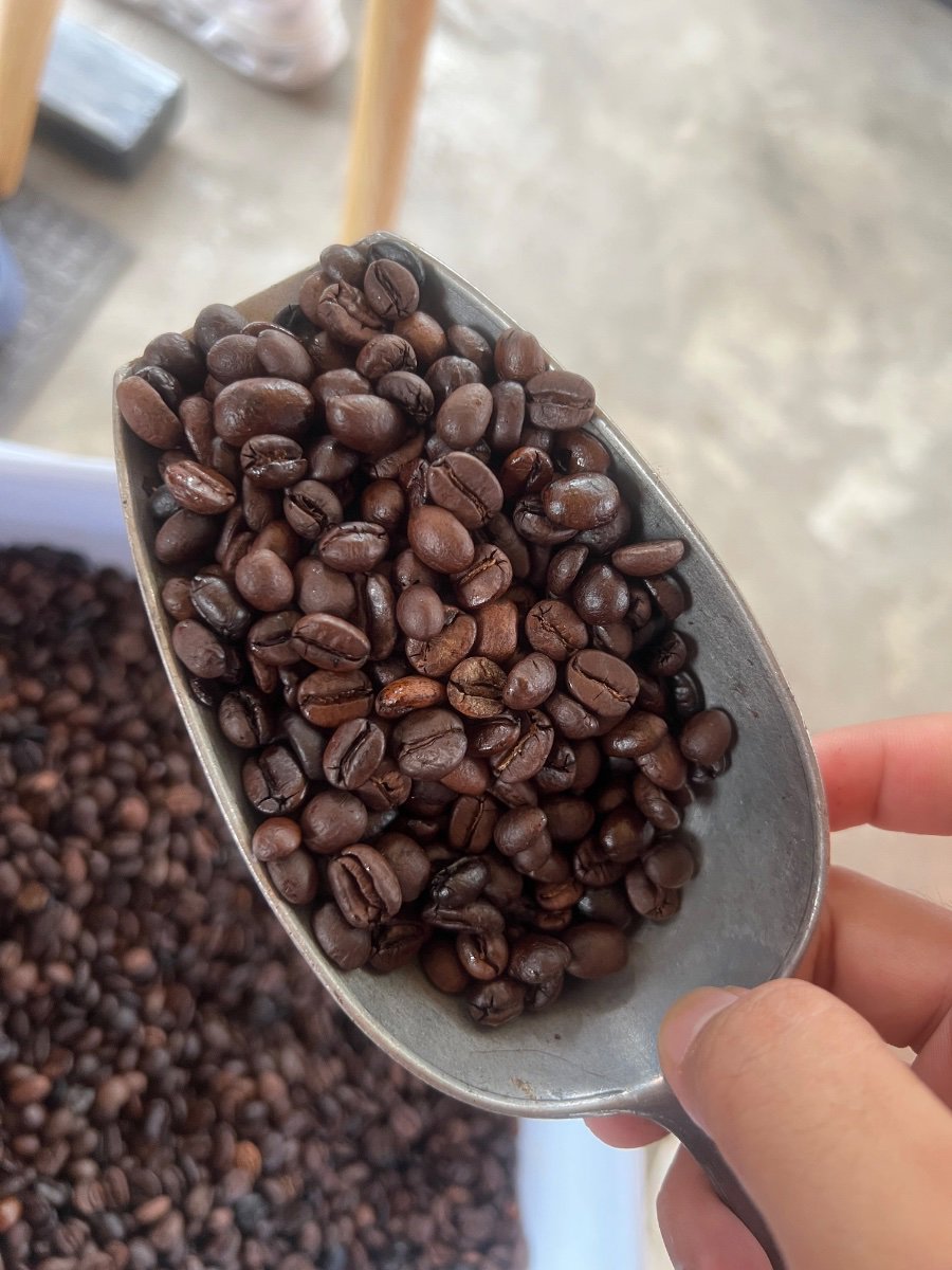 Coffee bean