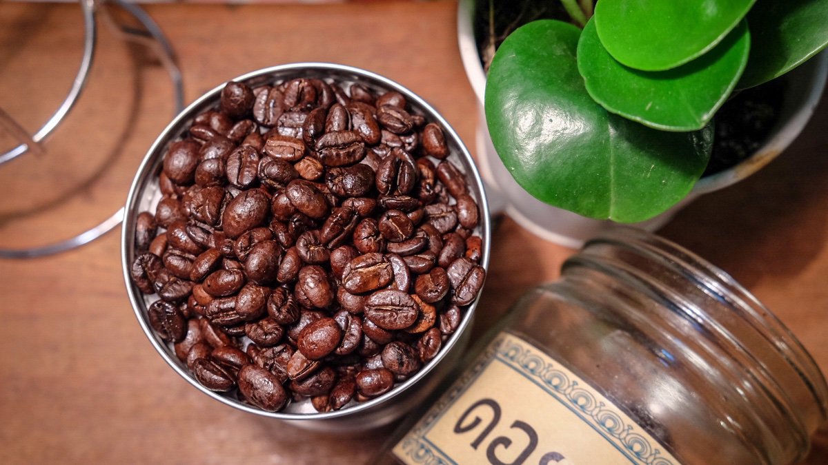 Coffee bean