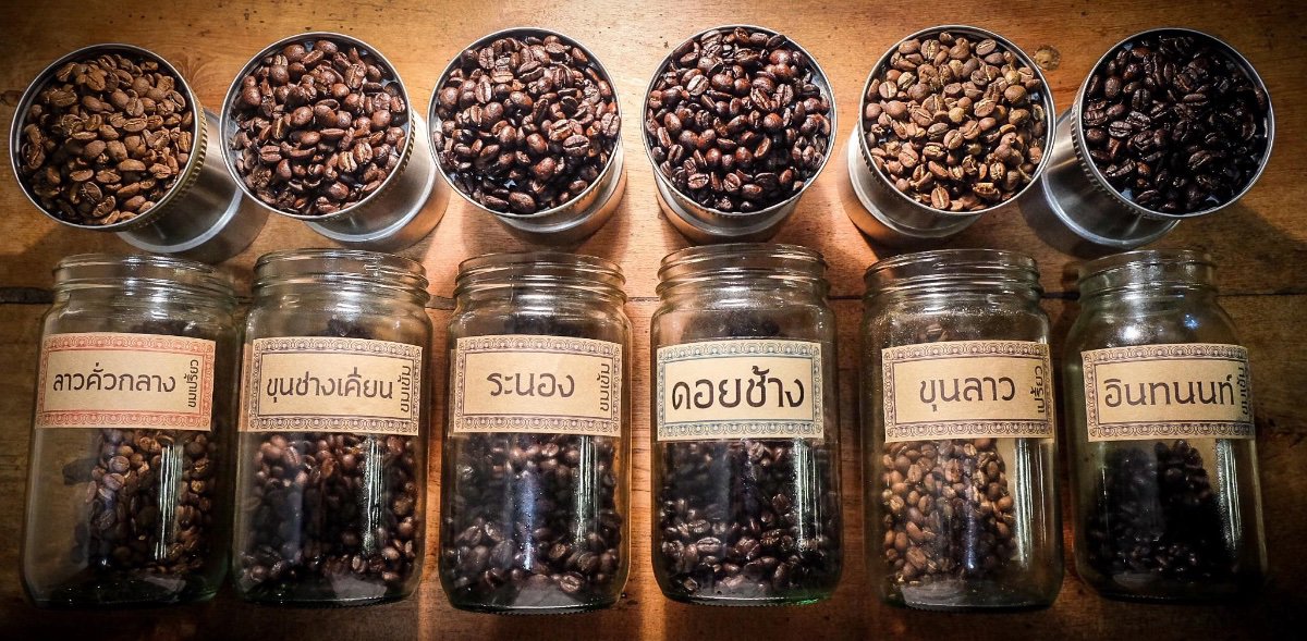 Coffee bean