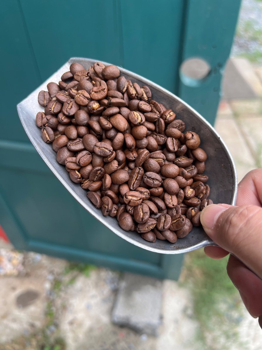 Coffee bean