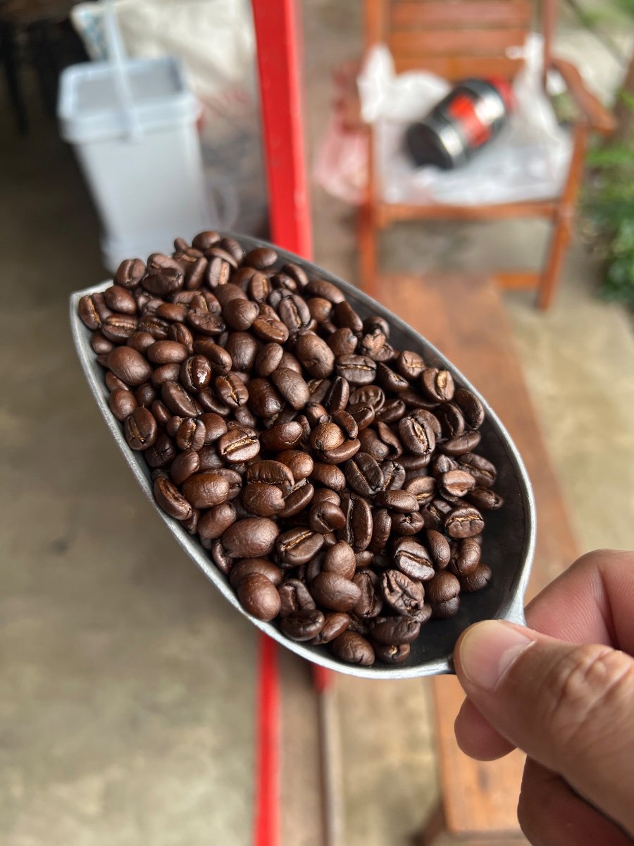 Coffee bean
