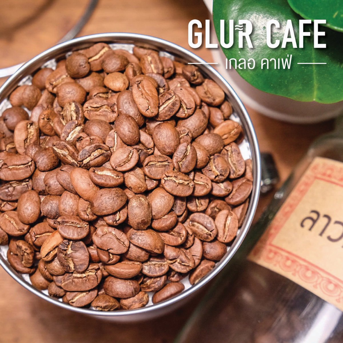 Coffee bean