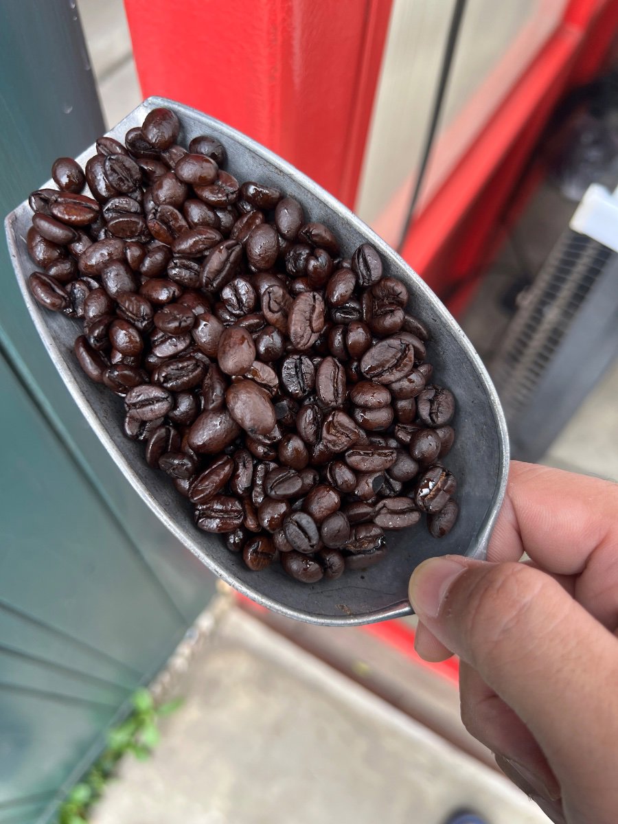 Coffee bean